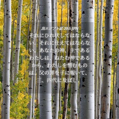Picture 04 - 出エジプト記 20:5 JPN - それにひれ伏してはならない。それ - Bible Verse Picture