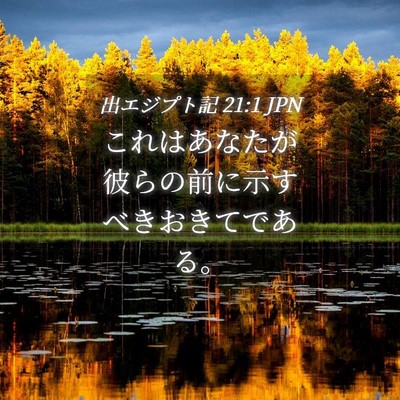 Picture 04 - 出エジプト記 21:1 JPN - これはあなたが彼らの前に示すべき - Bible Verse Picture