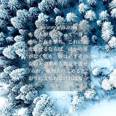 Picture 04 - 出エジプト記 21:22 JPN - もし人が互に争って、身ごもった女 - Bible Verse Picture