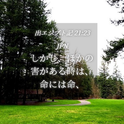 Picture 04 - 出エジプト記 21:23 JPN - しかし、ほかの害がある時は、命に - Bible Verse Picture