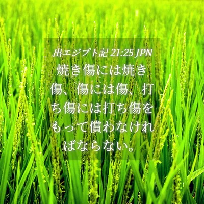 Picture 04 - 出エジプト記 21:25 JPN - 焼き傷には焼き傷、傷には傷、打ち - Bible Verse Picture