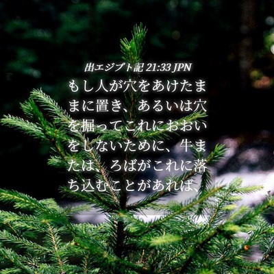Picture 04 - 出エジプト記 21:33 JPN - もし人が穴をあけたままに置き、あ - Bible Verse Picture