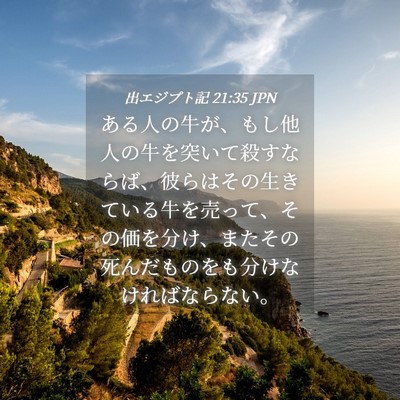 Picture 04 - 出エジプト記 21:35 JPN - ある人の牛が、もし他人の牛を突い - Bible Verse Picture