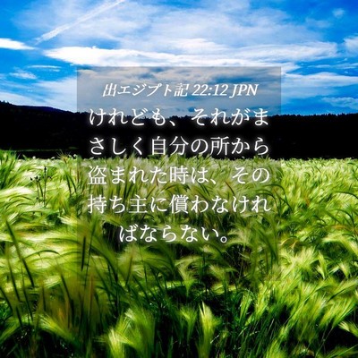 Picture 04 - 出エジプト記 22:12 JPN - けれども、それがまさしく自分の所 - Bible Verse Picture