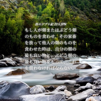 Picture 04 - 出エジプト記 22:5 JPN - もし人が畑またはぶどう畑のものを - Bible Verse Picture