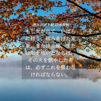 Picture 04 - 出エジプト記 22:6 JPN - もし火が出て、いばらに移り、積み - Bible Verse Picture