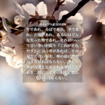 Picture 04 - 出エジプト記 22:9 JPN - 牛であれ、ろばであれ、羊であれ、 - Bible Verse Picture