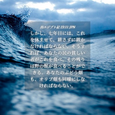 Picture 04 - 出エジプト記 23:11 JPN - しかし、七年目には、これを休ませ - Bible Verse Picture