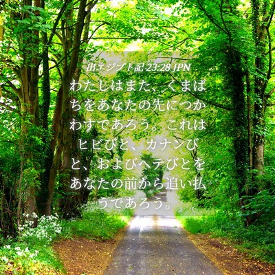 Picture 04 - 出エジプト記 23:28 JPN - わたしはまた、くまばちをあなたの - Bible Verse Picture