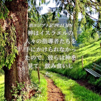 Picture 04 - 出エジプト記 24:11 JPN - 神はイスラエルの人々の指導者たち - Bible Verse Picture