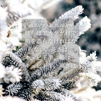 Picture 04 - 出エジプト記 25:10 JPN - 彼らはアカシヤ材で箱を造らなけれ - Bible Verse Picture