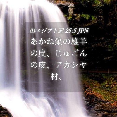 Picture 04 - 出エジプト記 25:5 JPN - あかね染の雄羊の皮、じゅごんの皮 - Bible Verse Picture