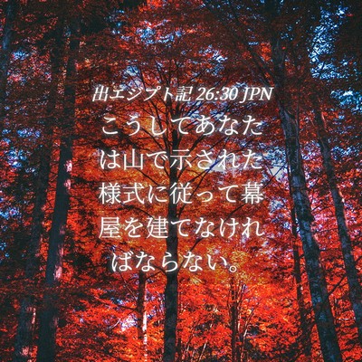 Picture 04 - 出エジプト記 26:30 JPN - こうしてあなたは山で示された様式 - Bible Verse Picture