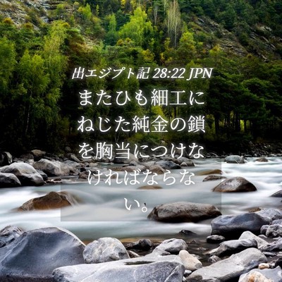 Picture 04 - 出エジプト記 28:22 JPN - またひも細工にねじた純金の鎖を胸 - Bible Verse Picture