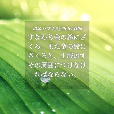 Picture 04 - 出エジプト記 28:34 JPN - すなわち金の鈴にざくろ、また金の - Bible Verse Picture