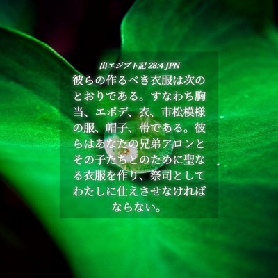 Picture 04 - 出エジプト記 28:4 JPN - 彼らの作るべき衣服は次のとおりで - Bible Verse Picture