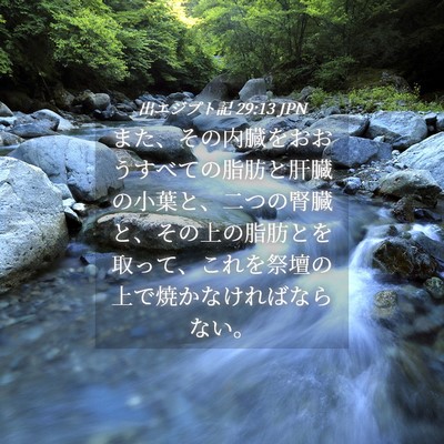 Picture 04 - 出エジプト記 29:13 JPN - また、その内臓をおおうすべての脂 - Bible Verse Picture