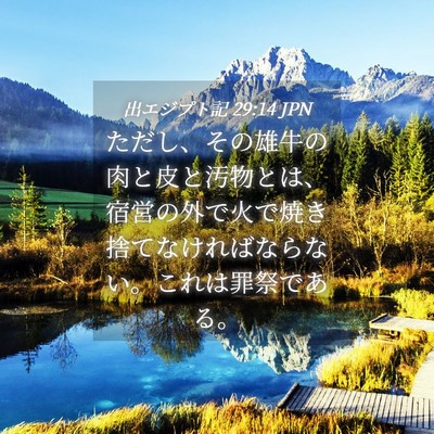 Picture 04 - 出エジプト記 29:14 JPN - ただし、その雄牛の肉と皮と汚物と - Bible Verse Picture