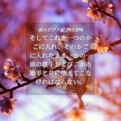 Picture 04 - 出エジプト記 29:3 JPN - そしてこれを一つのかごに入れ、そ - Bible Verse Picture