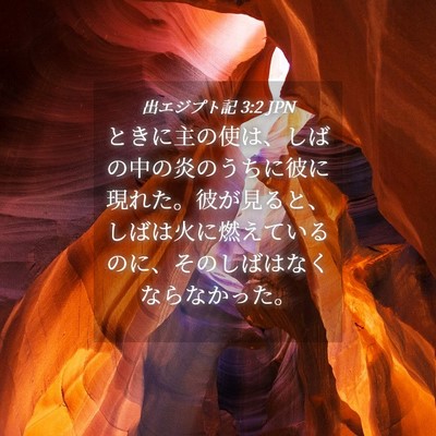 Picture 04 - 出エジプト記 3:2 JPN - ときに主の使は、しばの中の炎のう - Bible Verse Picture