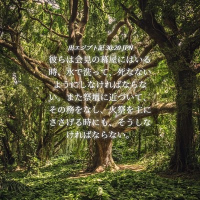 Picture 04 - 出エジプト記 30:20 JPN - 彼らは会見の幕屋にはいる時、水で - Bible Verse Picture