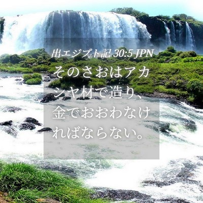 Picture 04 - 出エジプト記 30:5 JPN - そのさおはアカシヤ材で造り、金で - Bible Verse Picture