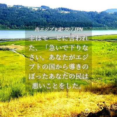 Picture 04 - 出エジプト記 32:7 JPN - 主はモーセに言われた、「急いで下 - Bible Verse Picture