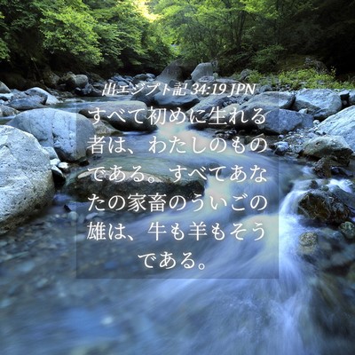 Picture 04 - 出エジプト記 34:19 JPN - すべて初めに生れる者は、わたしの - Bible Verse Picture