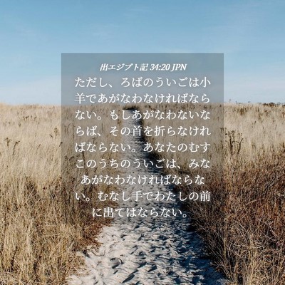 Picture 04 - 出エジプト記 34:20 JPN - ただし、ろばのういごは小羊であが - Bible Verse Picture