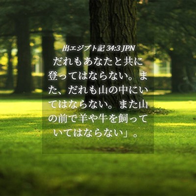 Picture 04 - 出エジプト記 34:3 JPN - だれもあなたと共に登ってはならな - Bible Verse Picture