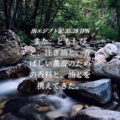 Picture 04 - 出エジプト記 35:28 JPN - また、ともしびと、注ぎ油と、香ば - Bible Verse Picture
