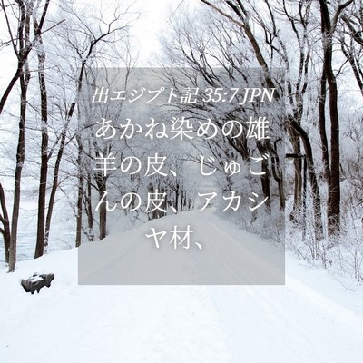 Picture 04 - 出エジプト記 35:7 JPN - あかね染めの雄羊の皮、じゅごんの - Bible Verse Picture