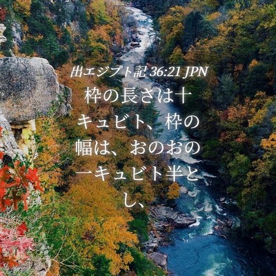 Picture 04 - 出エジプト記 36:21 JPN - 枠の長さは十キュビト、枠の幅は、 - Bible Verse Picture
