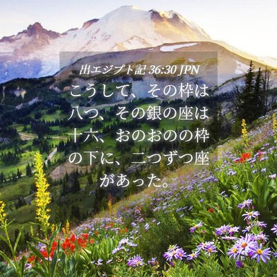 Picture 04 - 出エジプト記 36:30 JPN - こうして、その枠は八つ、その銀の - Bible Verse Picture