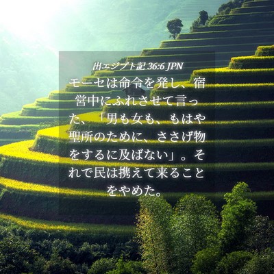 Picture 04 - 出エジプト記 36:6 JPN - モーセは命令を発し、宿営中にふれ - Bible Verse Picture