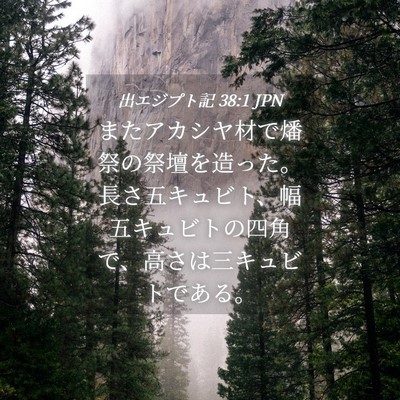 Picture 04 - 出エジプト記 38:1 JPN - またアカシヤ材で燔祭の祭壇を造っ - Bible Verse Picture