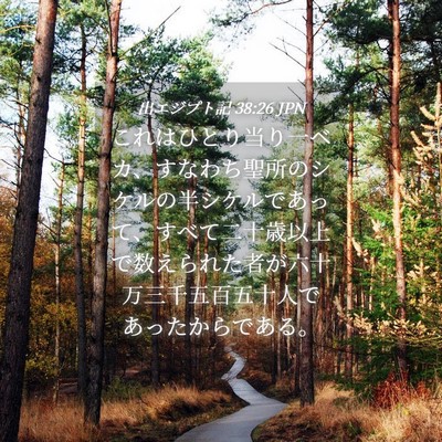 Picture 04 - 出エジプト記 38:26 JPN - これはひとり当り一ベカ、すなわち - Bible Verse Picture