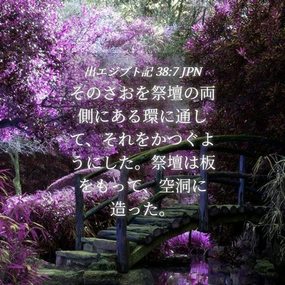 Picture 04 - 出エジプト記 38:7 JPN - そのさおを祭壇の両側にある環に通 - Bible Verse Picture