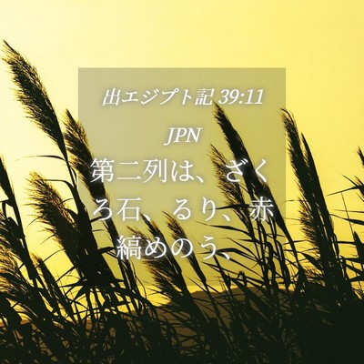 Picture 04 - 出エジプト記 39:11 JPN - 第二列は、ざくろ石、るり、赤縞め - Bible Verse Picture