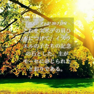 Picture 04 - 出エジプト記 39:7 JPN - これをエポデの肩ひもにつけて、イ - Bible Verse Picture