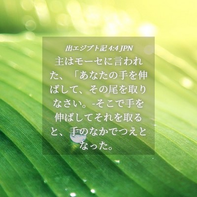 Picture 04 - 出エジプト記 4:4 JPN - 主はモーセに言われた、「あなたの - Bible Verse Picture