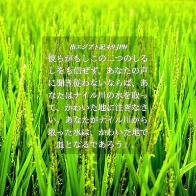 Picture 04 - 出エジプト記 4:9 JPN - 彼らがもしこの二つのしるしをも信 - Bible Verse Picture