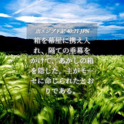 Picture 04 - 出エジプト記 40:21 JPN - 箱を幕屋に携え入れ、隔ての垂幕を - Bible Verse Picture