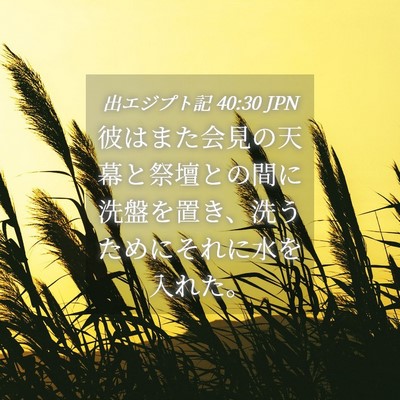 Picture 04 - 出エジプト記 40:30 JPN - 彼はまた会見の天幕と祭壇との間に - Bible Verse Picture