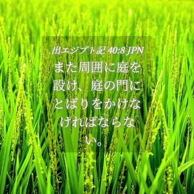 Picture 04 - 出エジプト記 40:8 JPN - また周囲に庭を設け、庭の門にとば - Bible Verse Picture