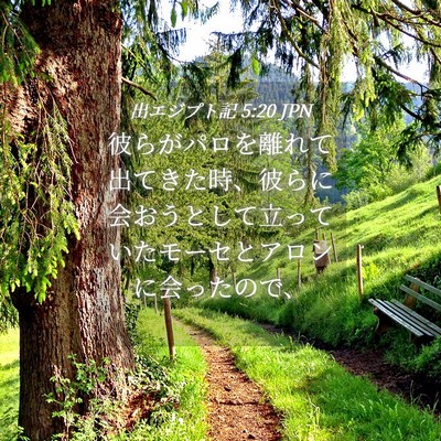 Picture 04 - 出エジプト記 5:20 JPN - 彼らがパロを離れて出てきた時、彼 - Bible Verse Picture