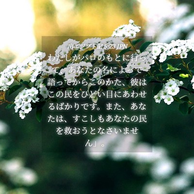 Picture 04 - 出エジプト記 5:23 JPN - わたしがパロのもとに行って、あな - Bible Verse Picture
