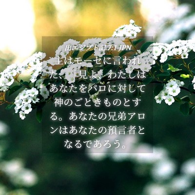 Picture 04 - 出エジプト記 7:1 JPN - 主はモーセに言われた、「見よ、わ - Bible Verse Picture