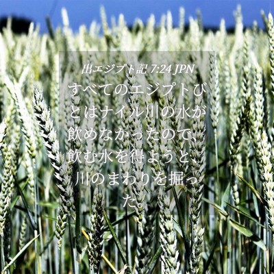 Picture 04 - 出エジプト記 7:24 JPN - すべてのエジプトびとはナイル川の - Bible Verse Picture