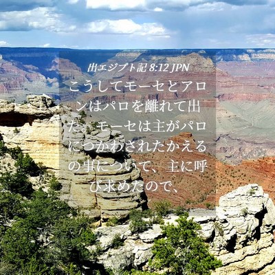 Picture 04 - 出エジプト記 8:12 JPN - こうしてモーセとアロンはパロを離 - Bible Verse Picture